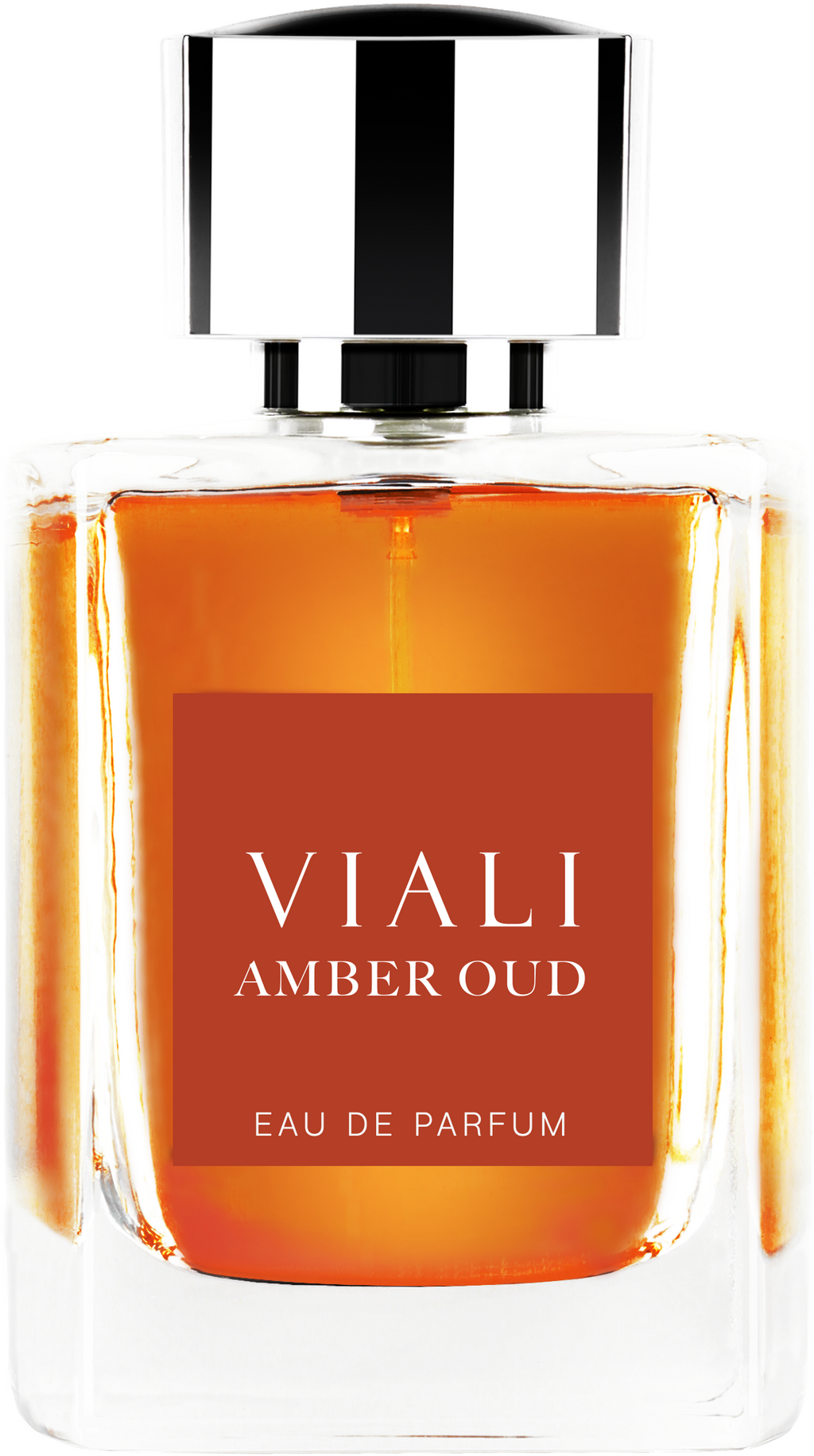 Viali Amber Oud Eau de Parfum Spray 100ml